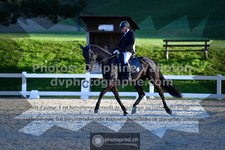 ref. photo 3549297