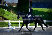 ref. photo 3549299