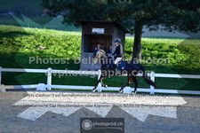 ref. photo 3549301