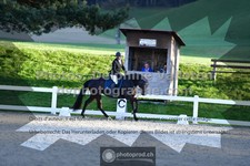 ref. photo 3549314