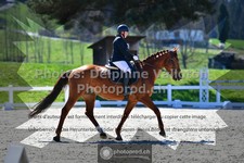 ref. photo 3549329