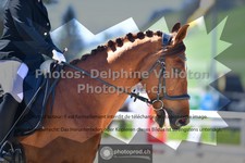 ref. photo 3549332