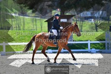ref. photo 3549336