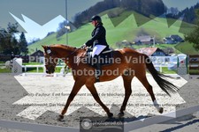ref. photo 3549341