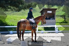 ref. photo 3549345