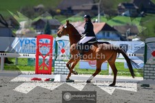 ref. photo 3549348