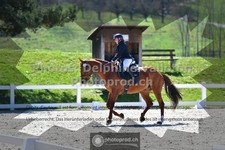 ref. photo 3549351