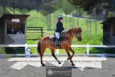 ref. photo 3549356