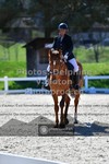 ref. photo 3549361