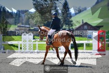 ref. photo 3549362