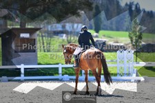 ref. photo 3549363