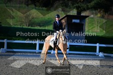 ref. photo 3549368