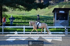 ref. photo 3549374