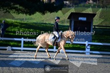 ref. photo 3549376