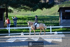 ref. photo 3549379