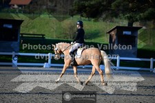 ref. photo 3549387