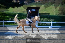 ref. photo 3549395