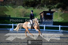 ref. photo 3549396