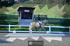 ref. photo 3549398