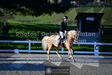 ref. photo 3549407