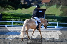 ref. photo 3549413