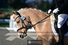 ref. photo 3549416