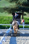 ref. photo 3549427