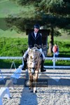 ref. photo 3549428