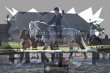 ref. photo 3549440