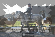 ref. photo 3549441