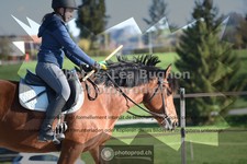 ref. photo 3549466