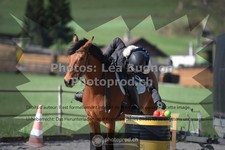 ref. photo 3549470