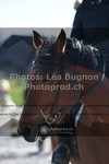 ref. photo 3549478
