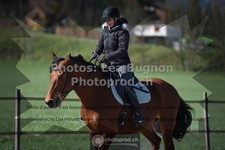 ref. photo 3549485