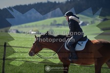 ref. photo 3549486