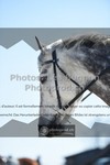 ref. photo 3549497