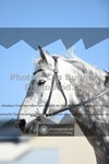 ref. photo 3549504
