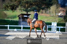 ref. photo 3549509