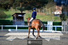 ref. photo 3549512