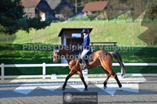 ref. photo 3549522