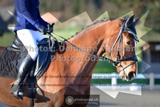 ref. photo 3549524