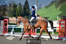 ref. photo 3549526