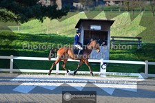 ref. photo 3549530