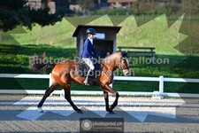 ref. photo 3549535