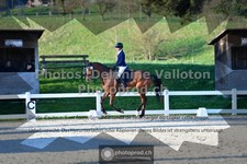 ref. photo 3549540