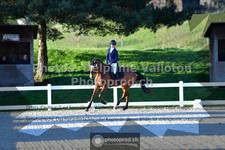 ref. photo 3549541