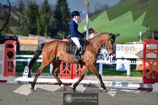 ref. photo 3549546