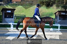 ref. photo 3549549