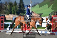 ref. photo 3549551