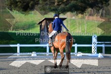 ref. photo 3549554